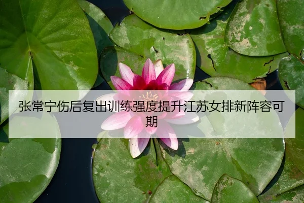 张常宁伤后复出训练强度提升江苏女排新阵容可期